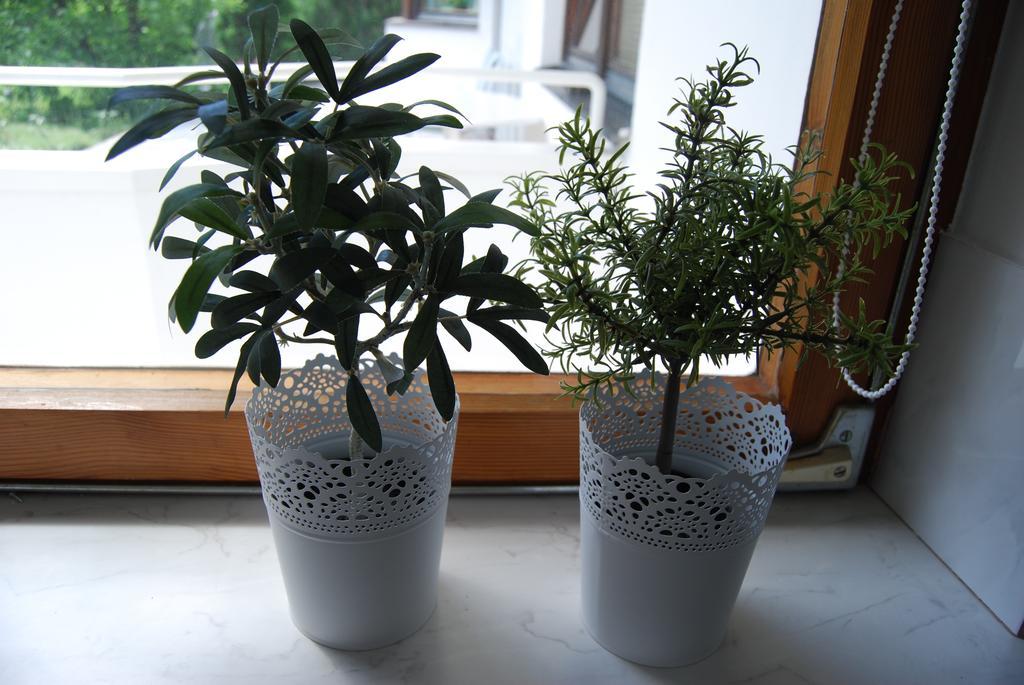 Apartamento Ferienhaus Plattner Lienz Habitación foto